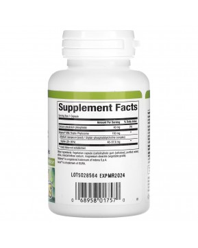 Natural Factors, расторопша высшего качества, 160 мг, 60 вегетарианских капсул